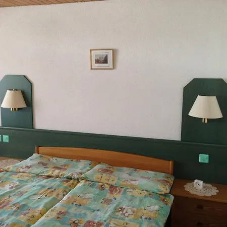Gasthof Panorama Han/Misafirhane Grindelwald